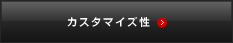 �J�X�^�}�C�Y��